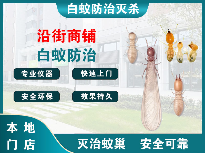 仙居县沿街商铺白蚁防治