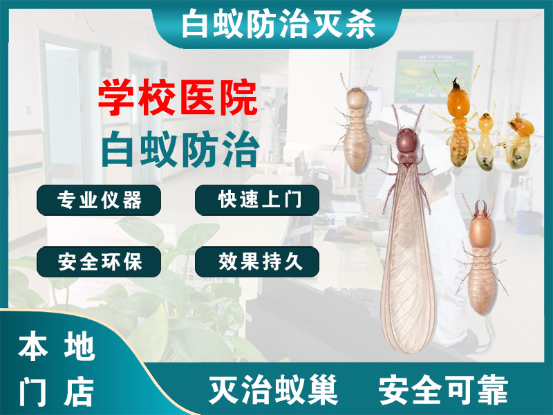 仙居县学校医院白蚁防治