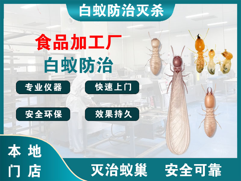 仙居县食品加工厂白蚁防治