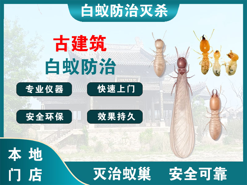仙居县古建筑白蚁防治
